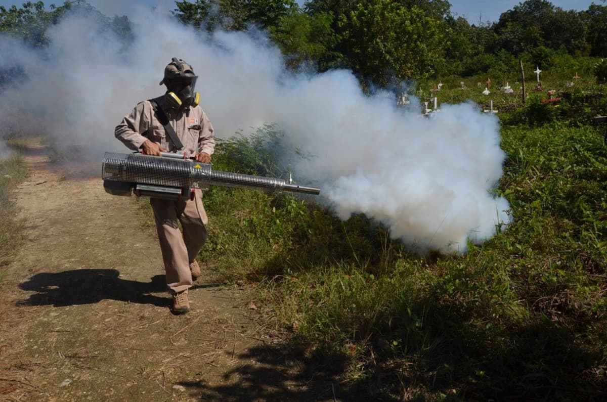 Pululan moscos en colonias de Chetumal, aumenta riesgo de contraer dengue, zika y chikungunya
