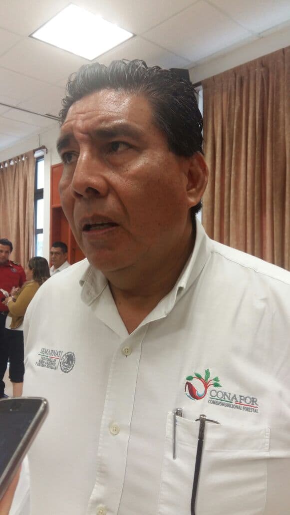 Se prevé temporada severa de incendios forestales