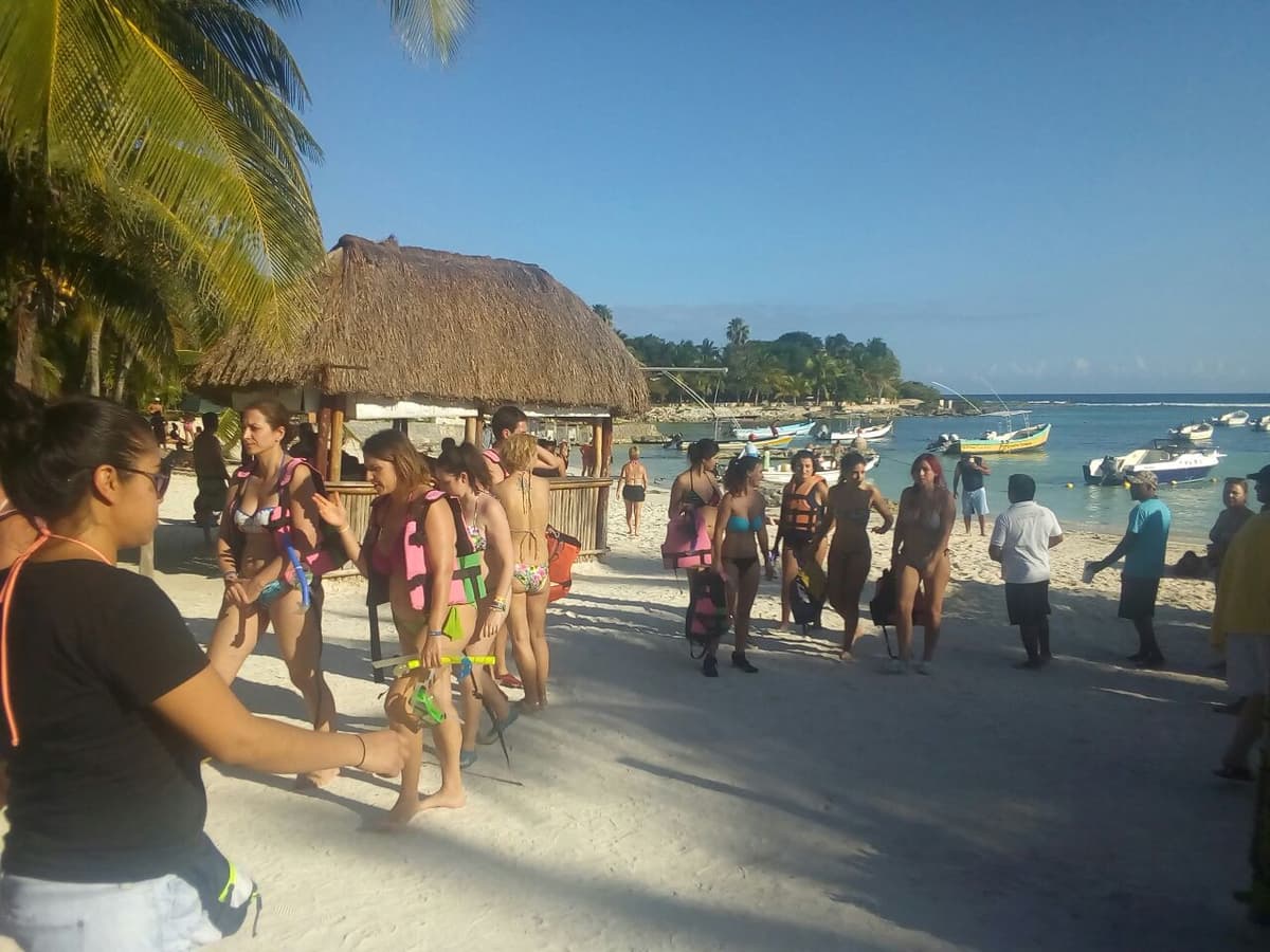Saca Profepa a turistas del nado con tortugas en Akumal