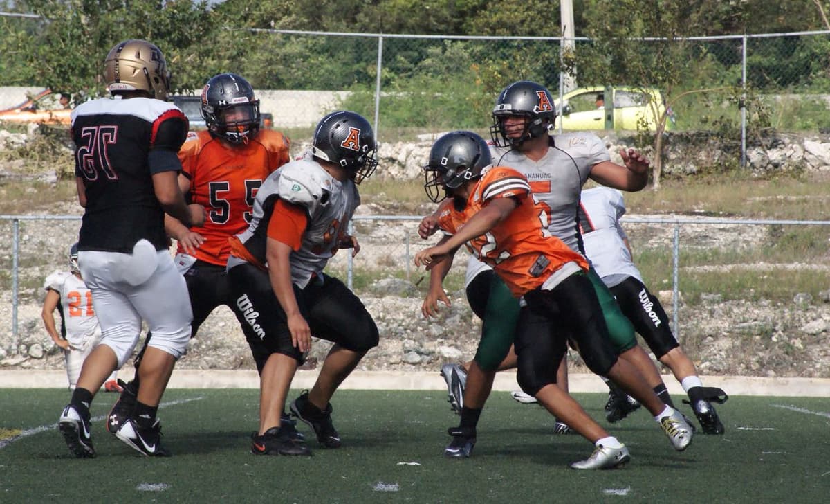 Listos, los Leones de la Anáhuac para rugir