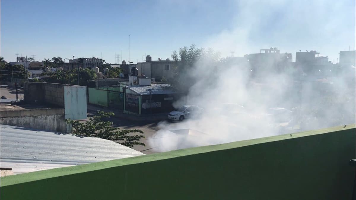 Humareda de local de pollos a la leña provoca molestia y alerta en vecinos de Villamar 1
