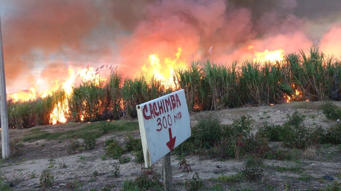 Quema de caña, tradición vigente