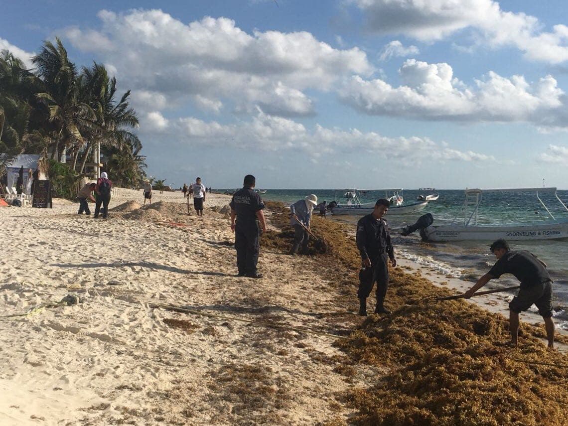 Infractores limpian sargazo en Puerto Morelos
