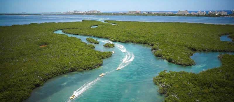Manglares de Nichupté, 10 años de ser un área protegida