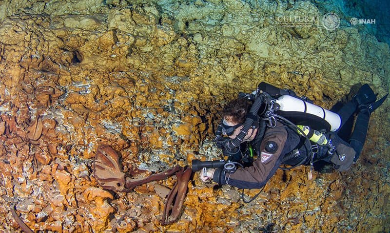 Estudian megafauna del Pleistoceno Tardío que vivió en lo que hoy es la península de Yucatán
