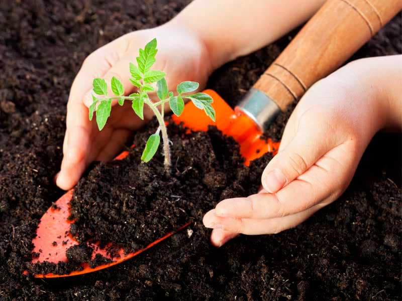 Convocatoria al Premio al Mérito Ecológico 2018 cierra el 29 de marzo