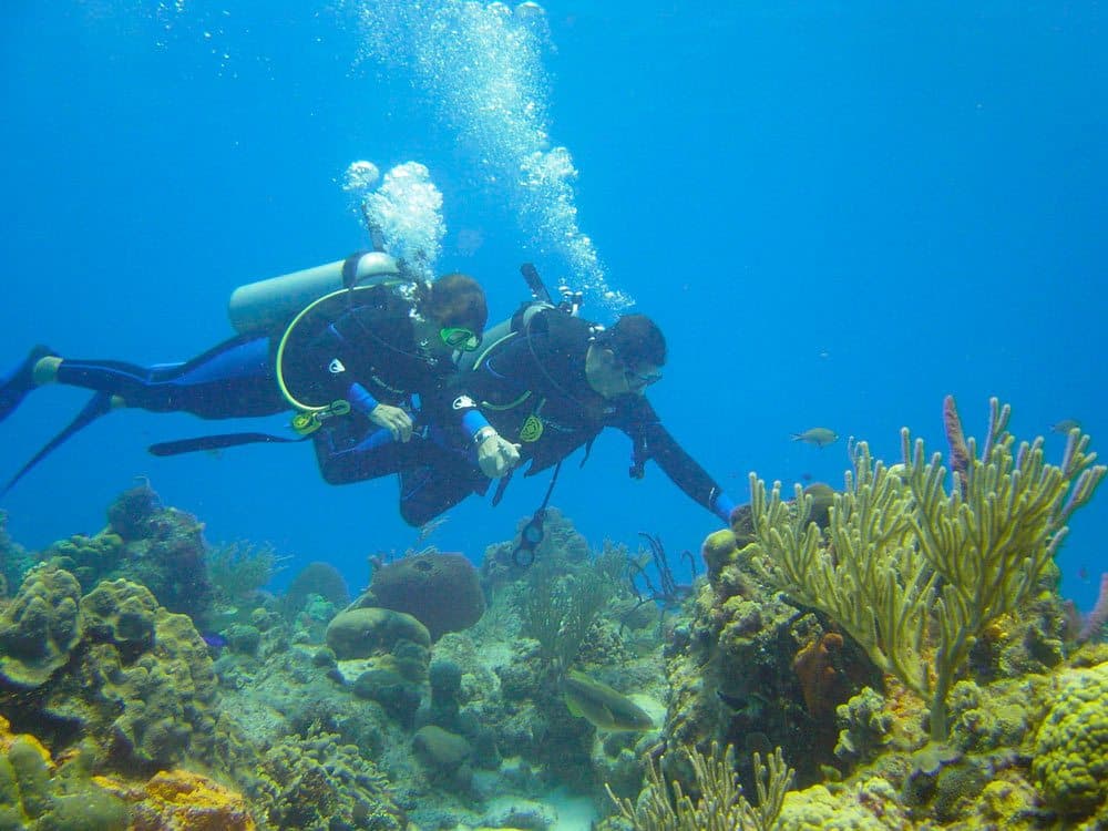 SEMARNAT invita a participar en el desafío de fotografía “Viaja, Disfruta y Respeta”