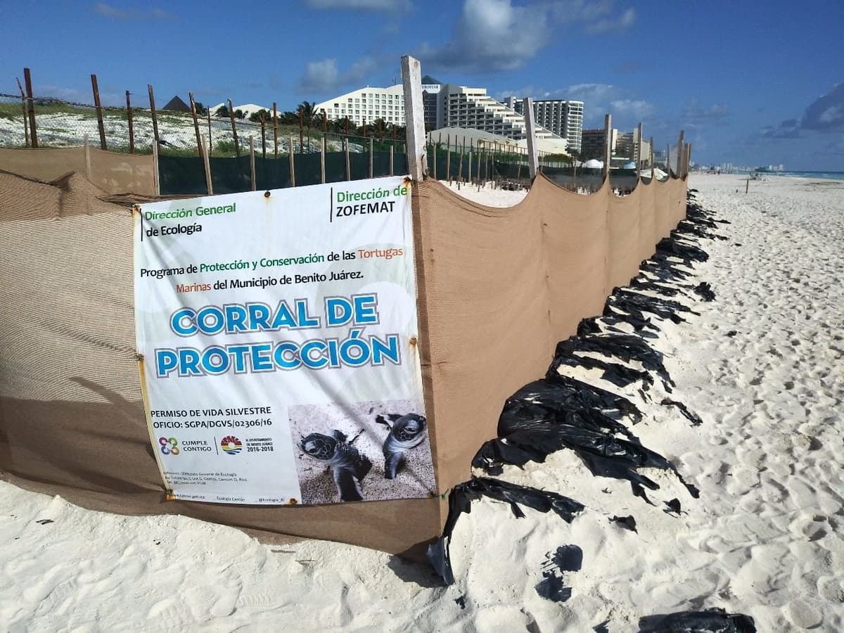 Descarta Profepa queja contra Gran Solaris