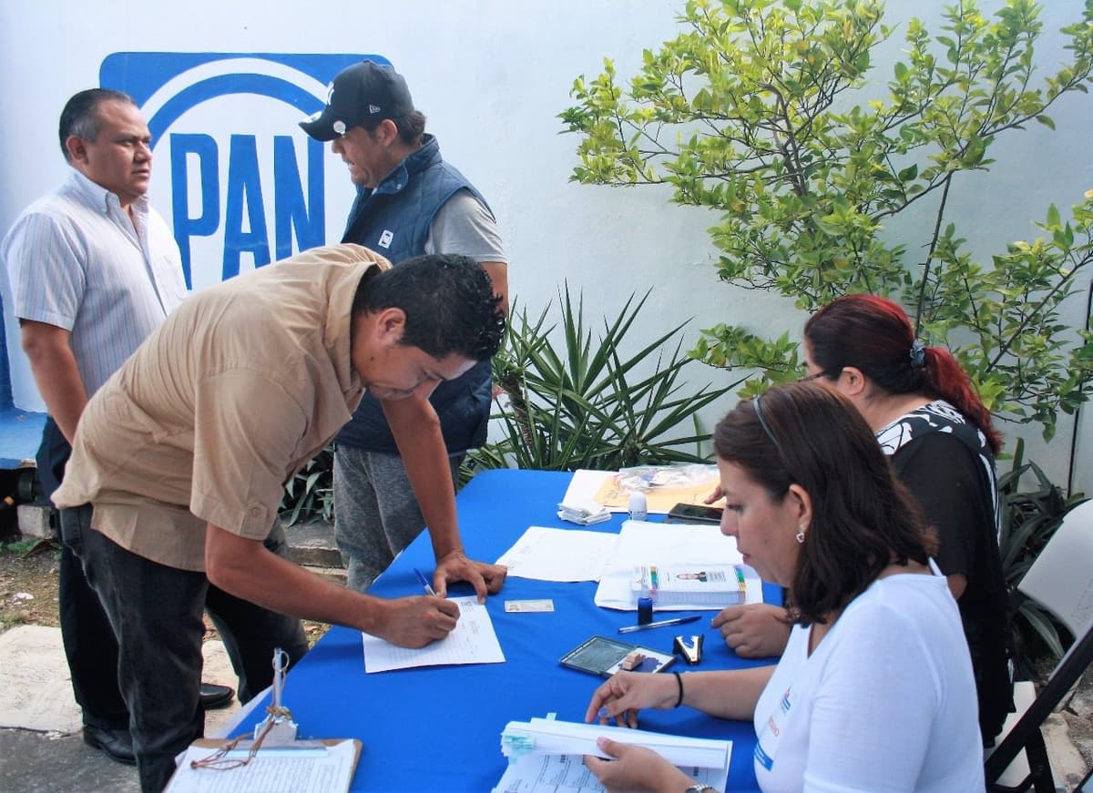 Votan panistas por Anaya, precandidato único