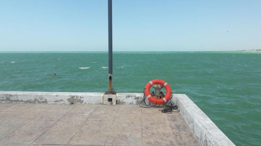 Buscan con avioneta a pescadores extraviados