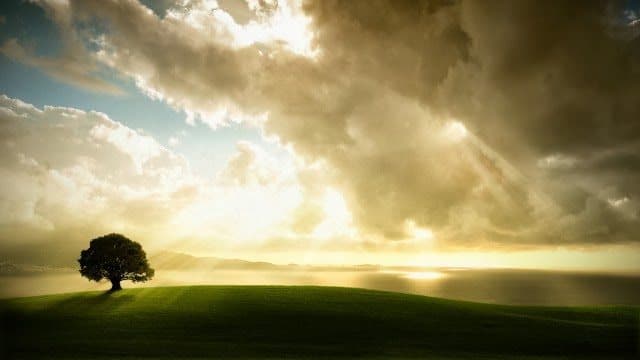 Perú cuenta con un alto porcentaje de personas con nombres religiosos, el más popular es Dios.