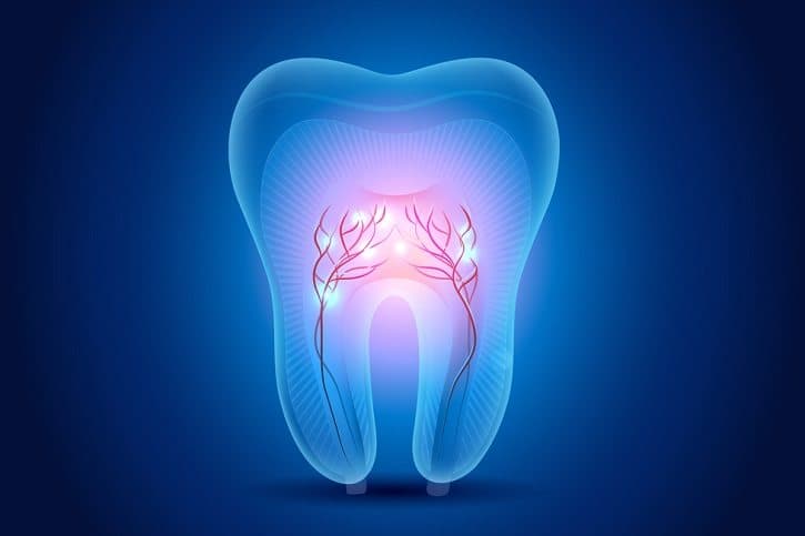 Expertos de la UNAM integran banco de células madre de dientes