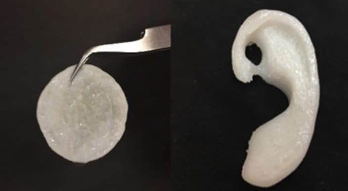 Científicos mexicanos diseñan implante de oreja