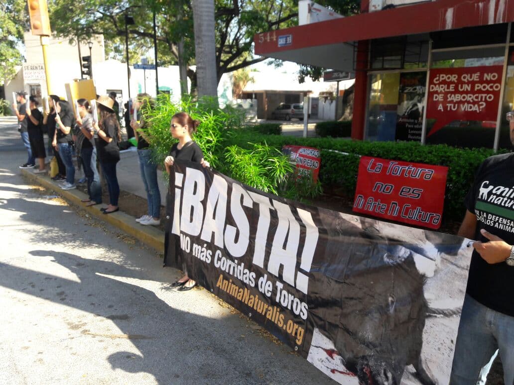 Protestan corrida de toros en Mérida