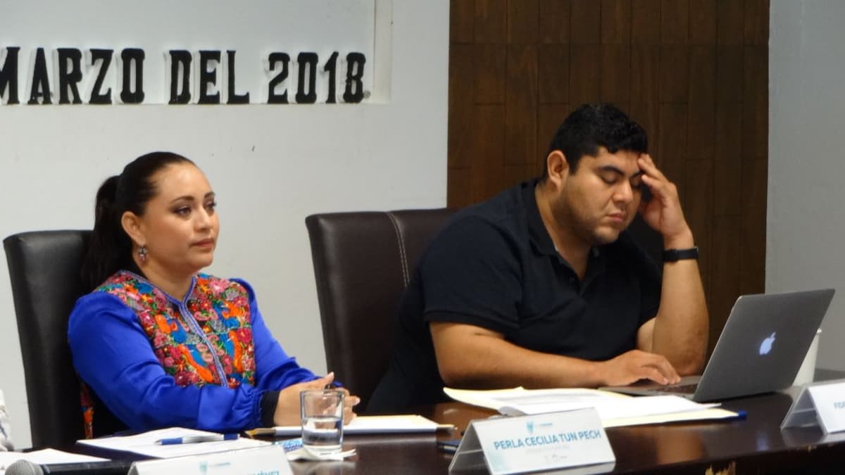 Turnan recomendación a Cozumel por la matanza de perros