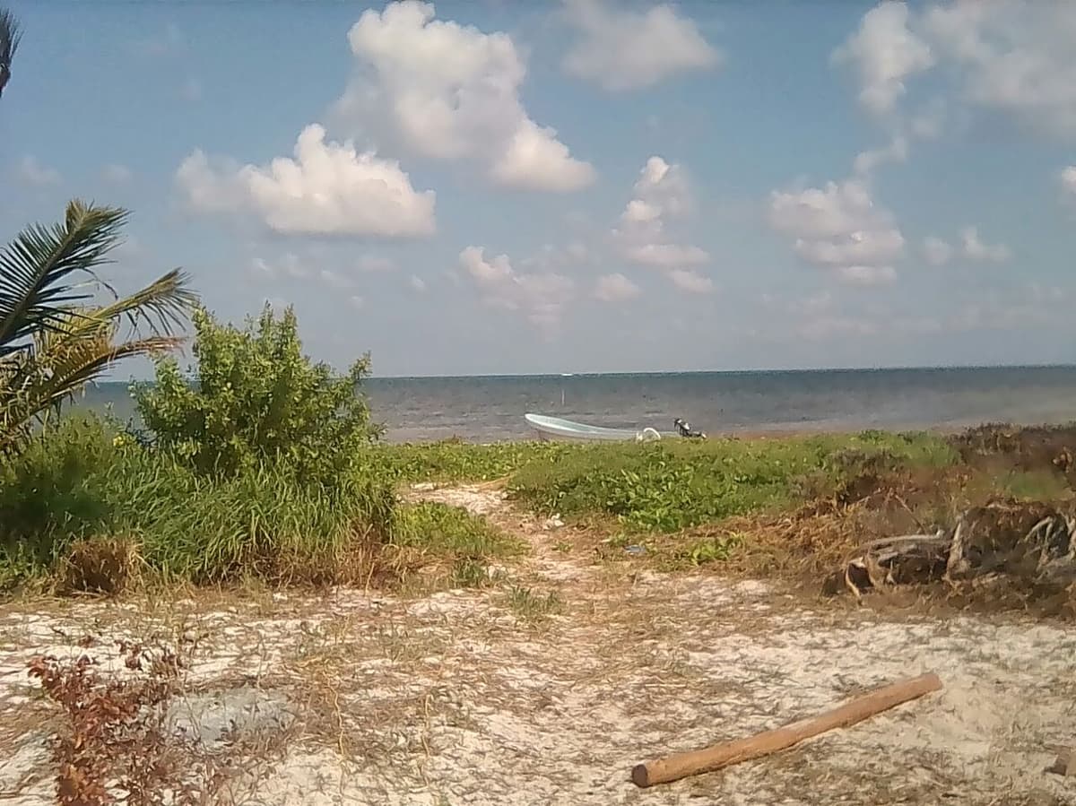 Ejecutado en la Costa Maya