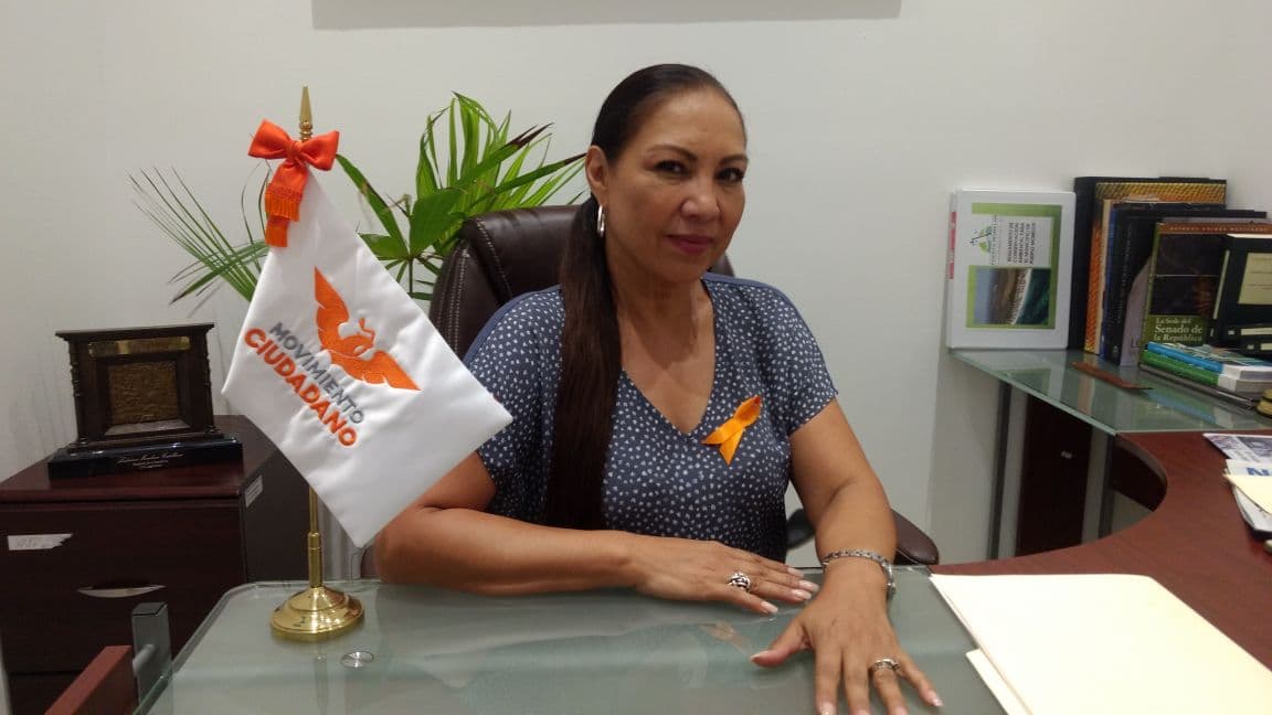 Movimiento Ciudadano, listo para lo que venga: Ludivina