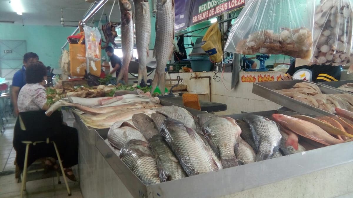 Comerciantes de pescados y mariscos, preocupados por las bajas ventas en Yucatán
