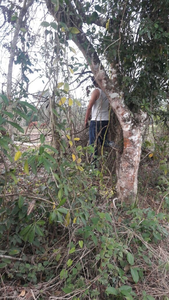 Hombre se ahorca en Xul-Ha