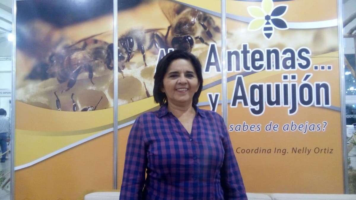 Fomentan la apicultura entre emprendedores