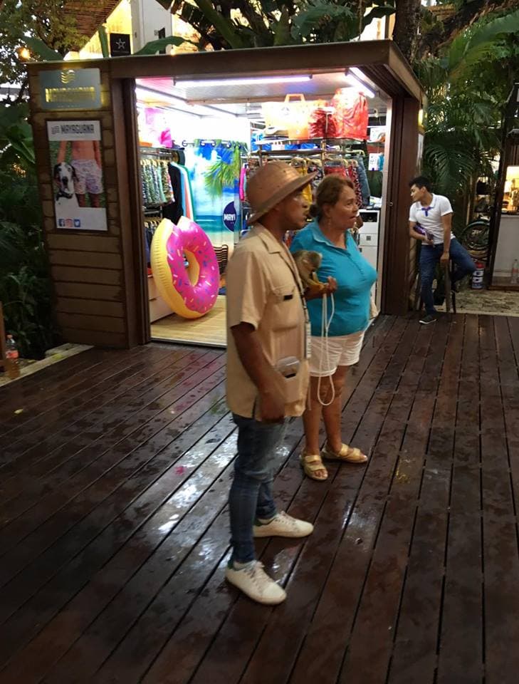 Denuncian en redes sociales la explotación de un mono en Paseos del Carmen