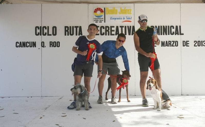 Alistan carrera con perros en Playa del Carmen