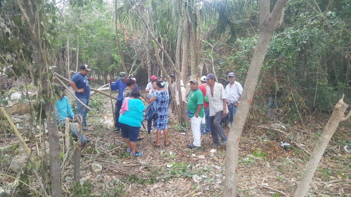 Acusan invasión en la colonia Proterritorio de Chetumal