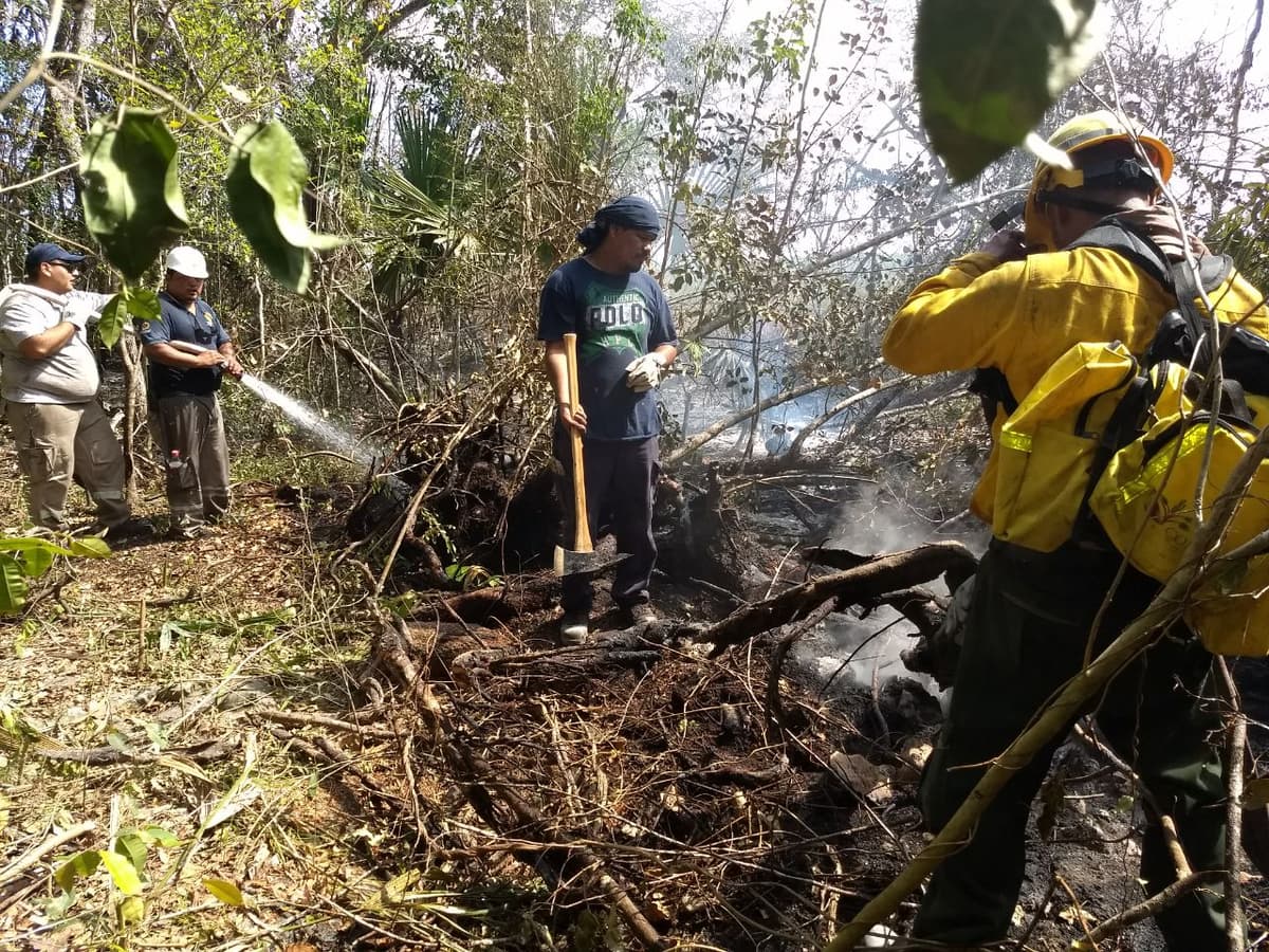 Sofocan incendio forestal en Carrillo Puerto