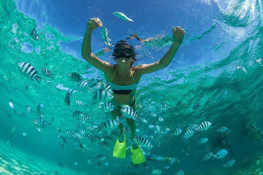 Vive un tour de Snorkel por las aguas del Caribe Mexicano