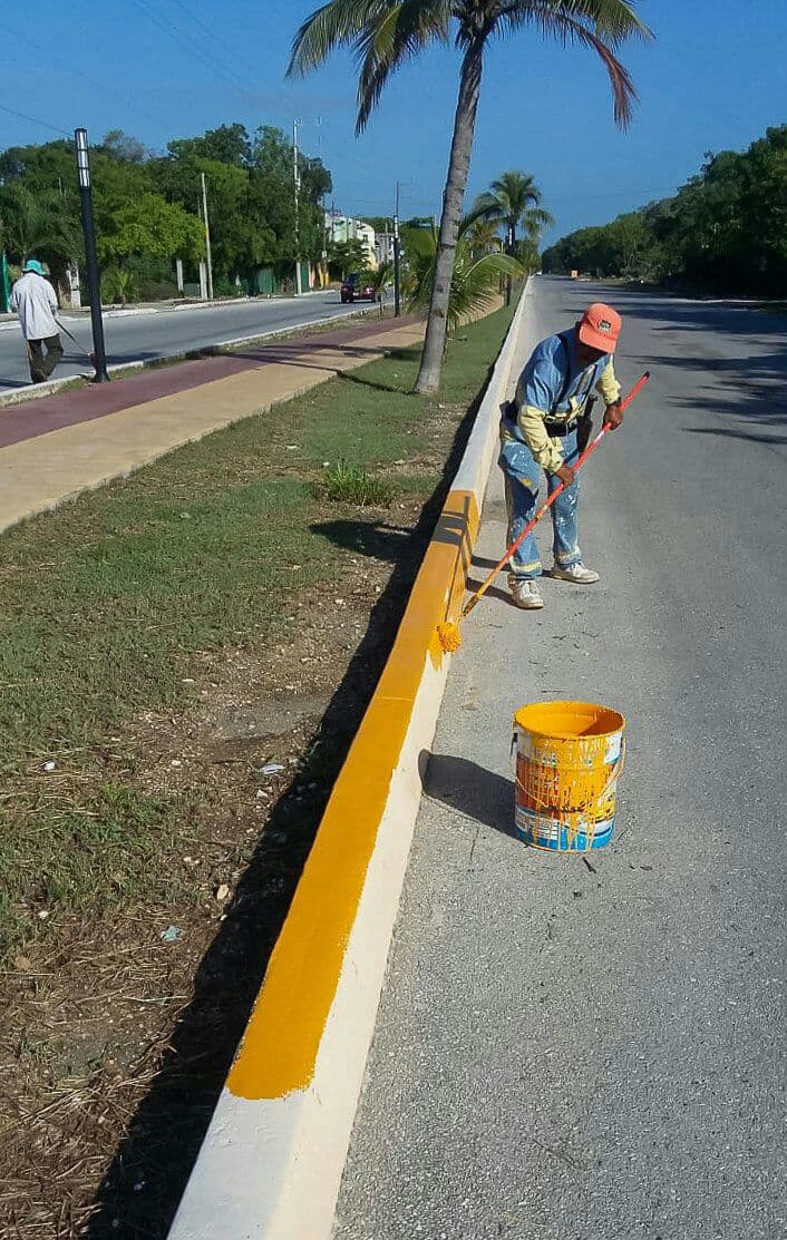 Mejora Solidaridad más de 30 kilómetros de guarniciones en abril