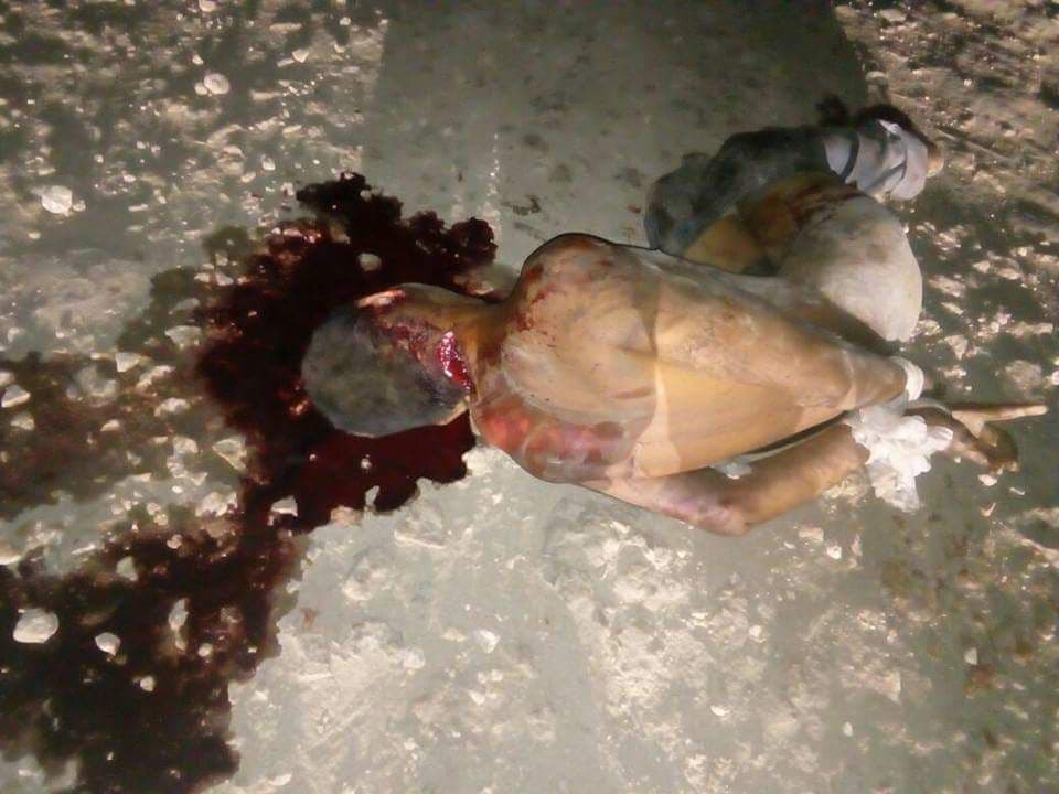 Linchan a un sujeto en Rivera del Río Hondo