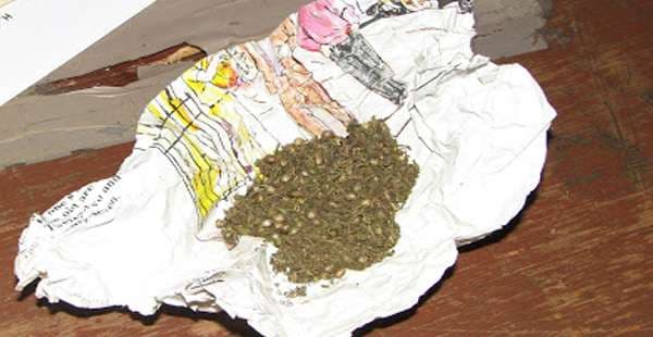 Ladrón liberado en Yucatán vuelve a prisión, ahora por narcomenudeo