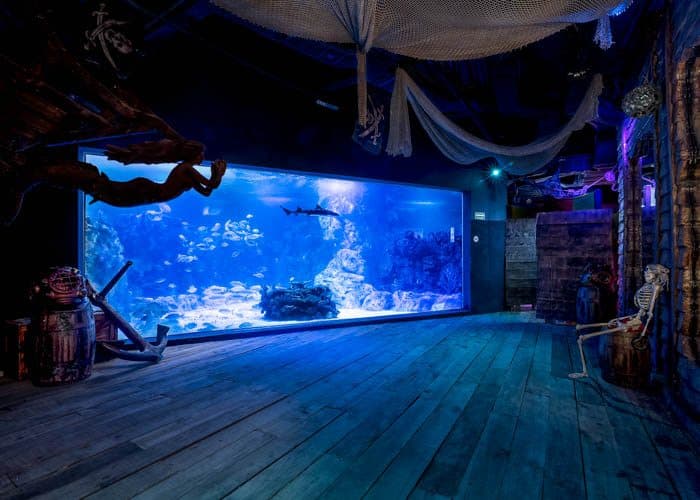 Descubre el Acuario de Playa del Carmen