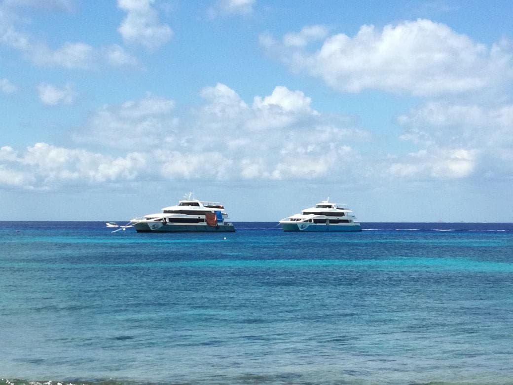 Tiene Cozumel alta expectativa vacacional de verano