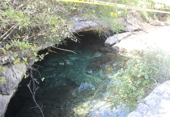 ¡Indignante! Destruyen vegetación protegida en cenotes en Chemuyil