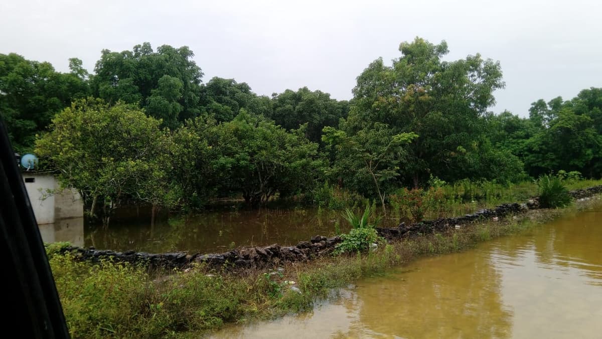 Se “ahogan” cultivos en Lázaro Cárdenas