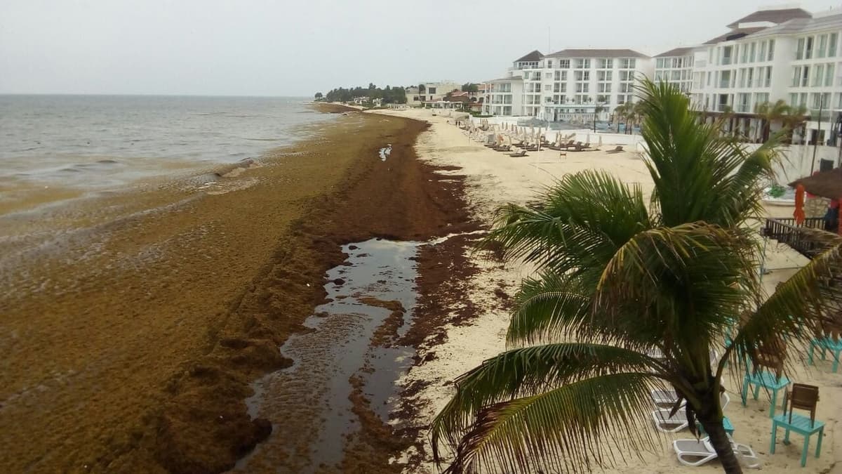 Sargazo y lluvia alejan al turismo