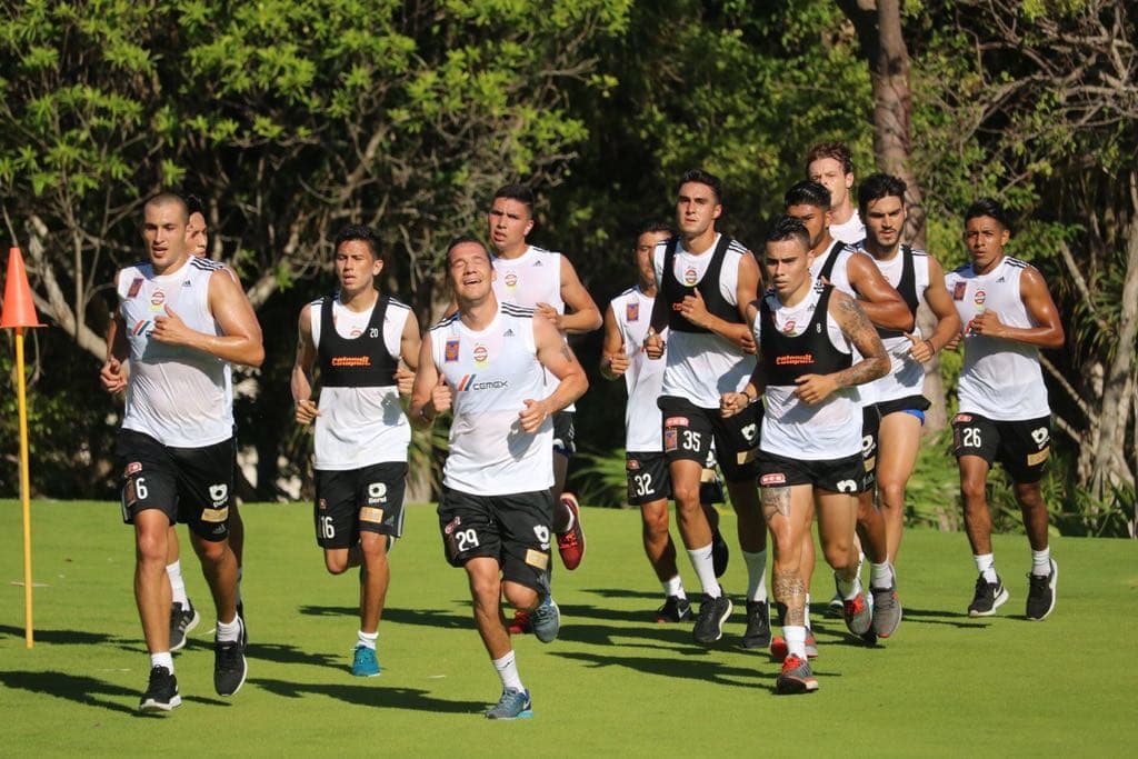 Tigres asecha la Riviera Maya