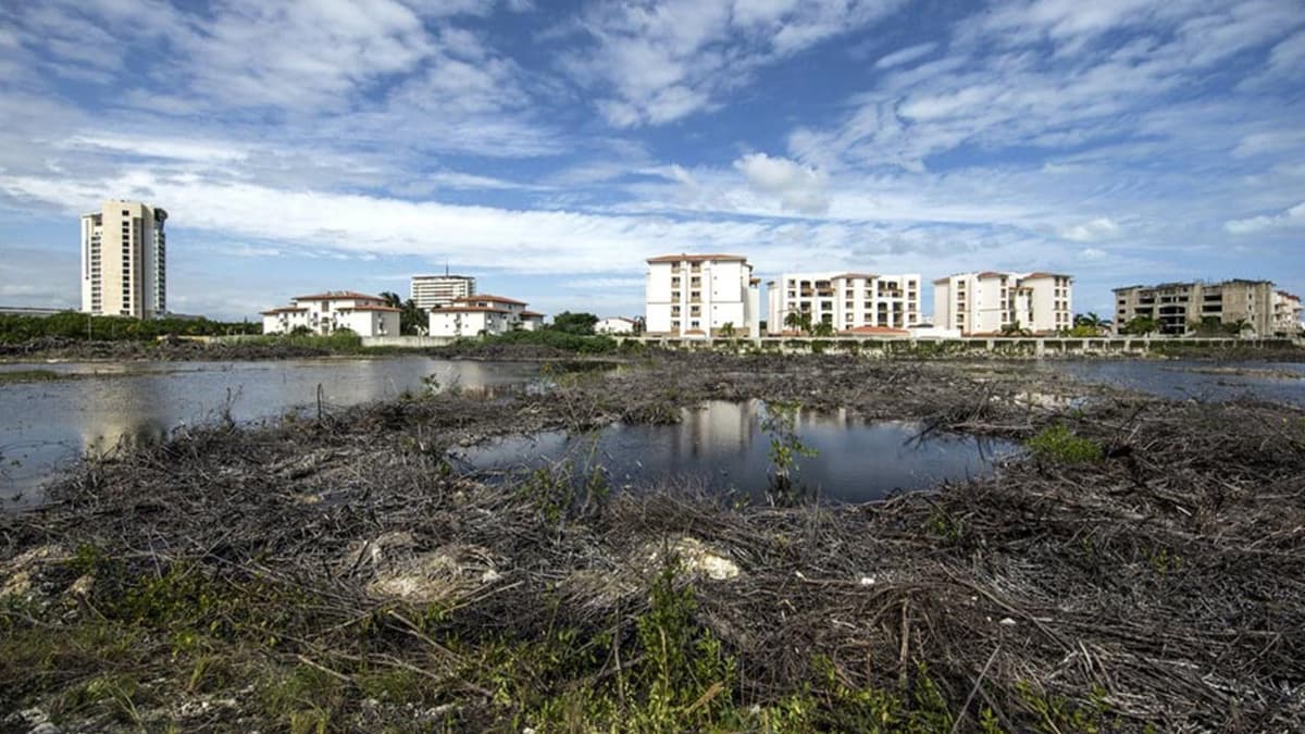 Exculpa PGR a exdelegada de Profepa por Tajamar