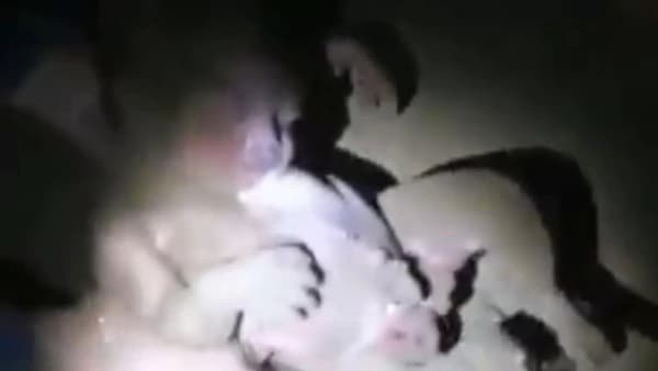 Entierran viva a una recién nacida y siete horas después la rescatan