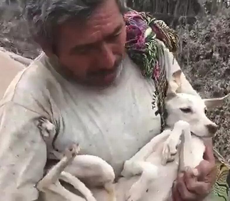 Fidelidad al máximo, hombre rescata a su perro entre las cenizas