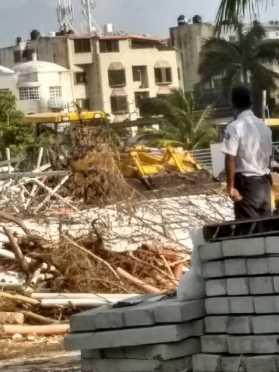 Demandan ecologistas a empresa que devasta en Puerto Cancún