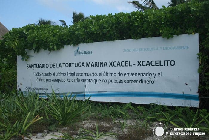 Exigen vigilancia en Xcacel-Xcacelito contra caza furtiva