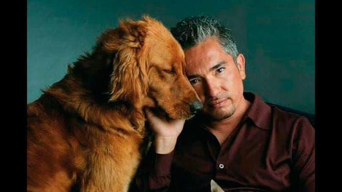 César Millán “El encantador de perros”, revela cómo llegó a EU con tan sólo 300 pesos