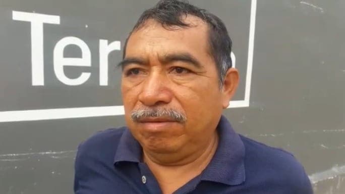 Apicultores exigen ley contra el uso de pesticidas