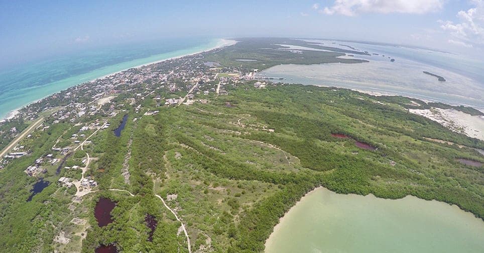 Yum Balam; un sitio de pleno contacto con la naturaleza