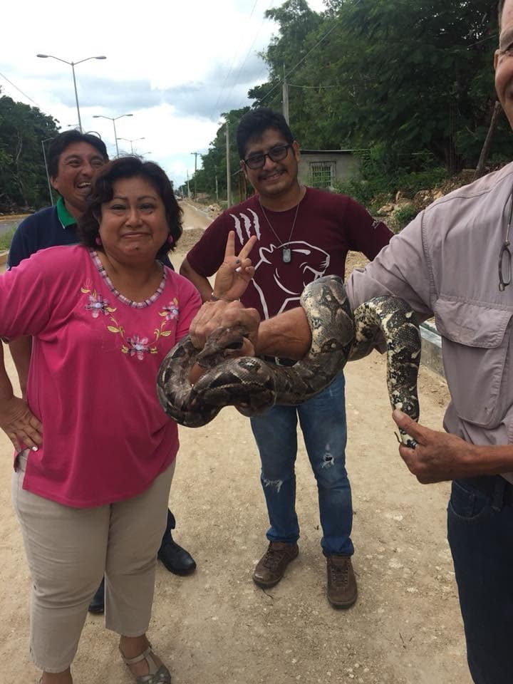 Atrapan una boa frente al Tecnológico