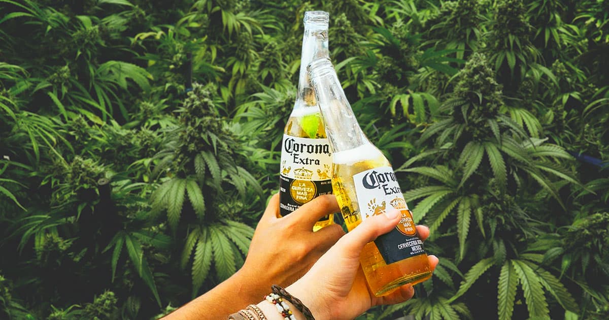 Corona en E.U. se pone "verde"; hará inversión histórica en mercado cannábico