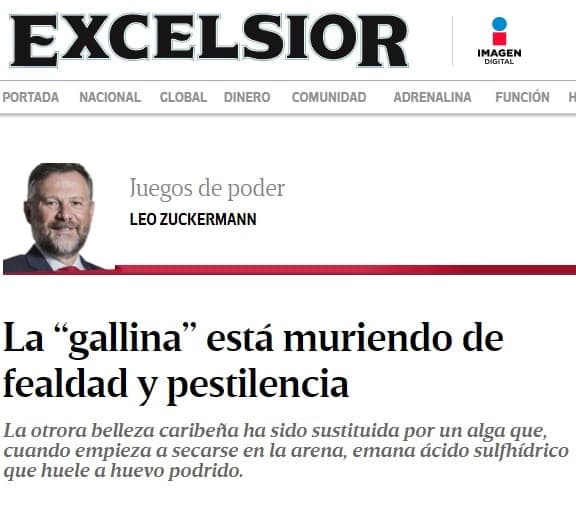 Desmienten quintanarroenses a columnista por sargazo