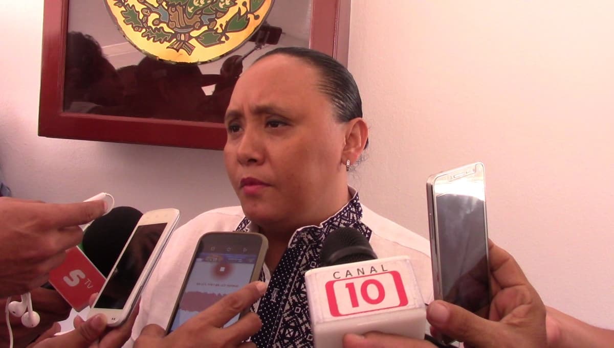 Grupos buscan inestabilidad social de Solidaridad: Cristina Torres